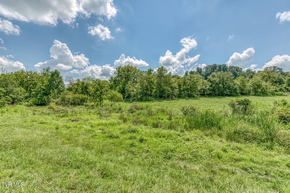 Photo #90: 108 Oak Hill Circle