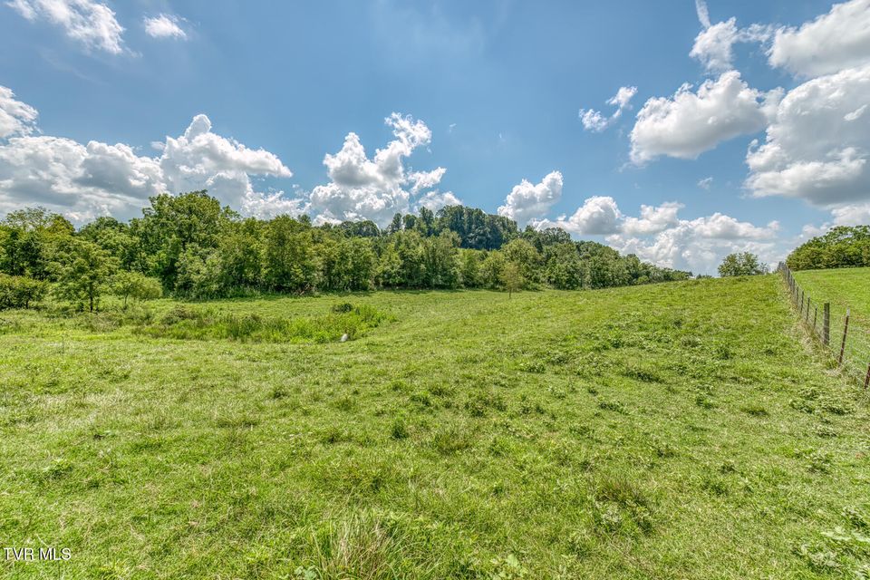 Photo #91: 108 Oak Hill Circle