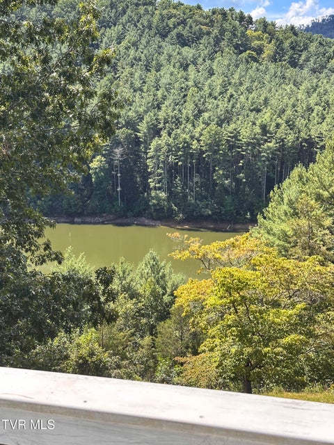 Photo #10: 115 Lonesome Pine Trail