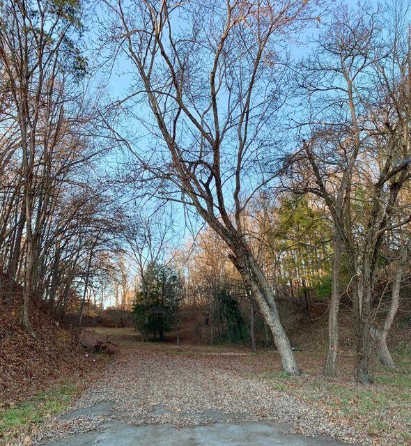 Photo #13: 512 Stone Drive