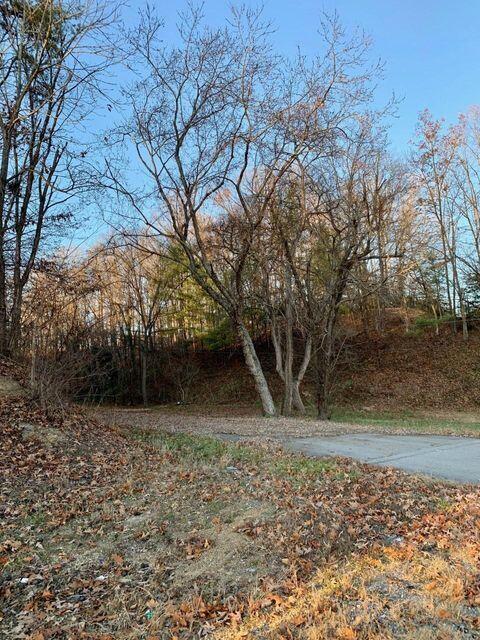 Photo #12: 512 Stone Drive