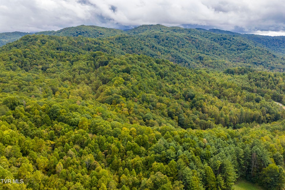 Photo #4: Tbd Tolley Road