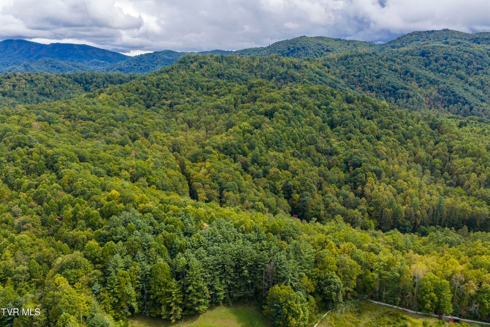 Photo #5: Tbd Tolley Road