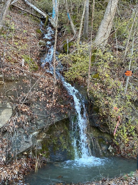 Photo #4: Tbd Sandy Bottom Road