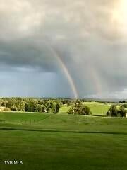 Photo #8: 963 Main Street