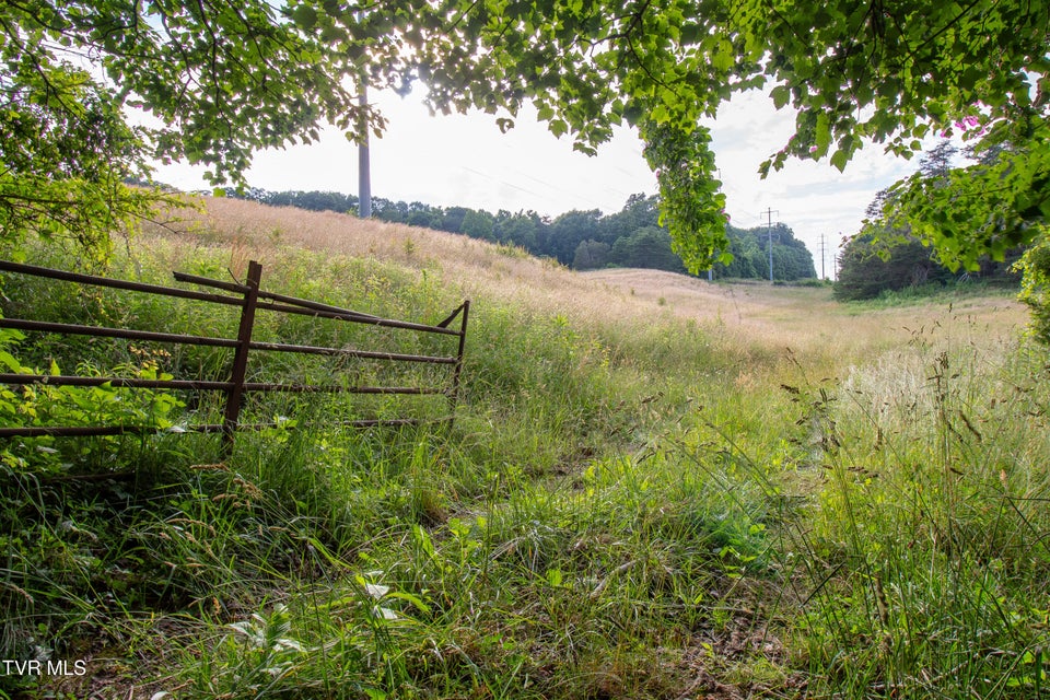 Photo #8: Tbd Cherokee Road