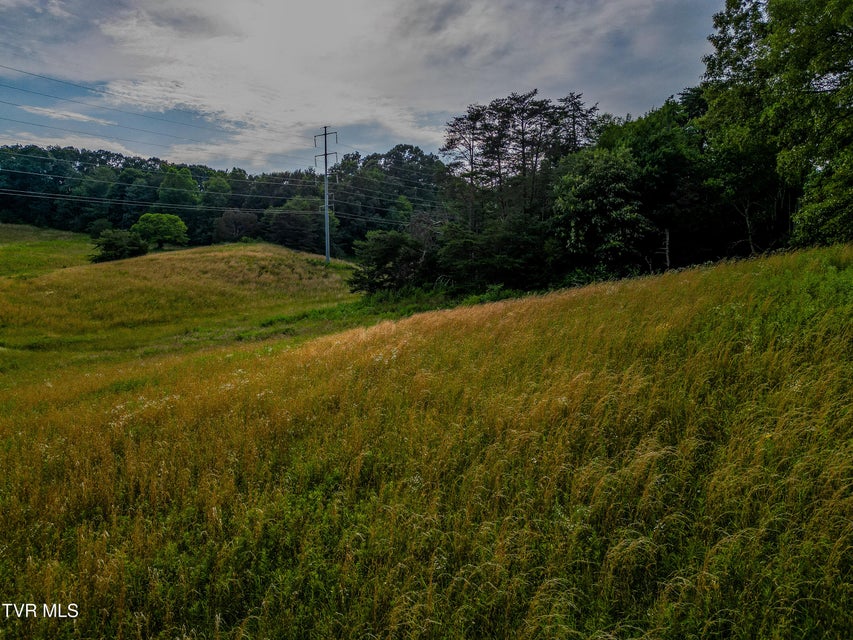 Photo #17: Tbd Cherokee Road