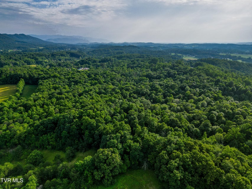 Photo #31: Tbd Cherokee Road