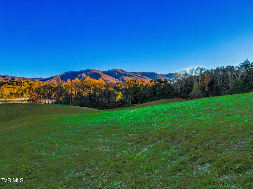 Photo #38: Tbd Cherokee Road