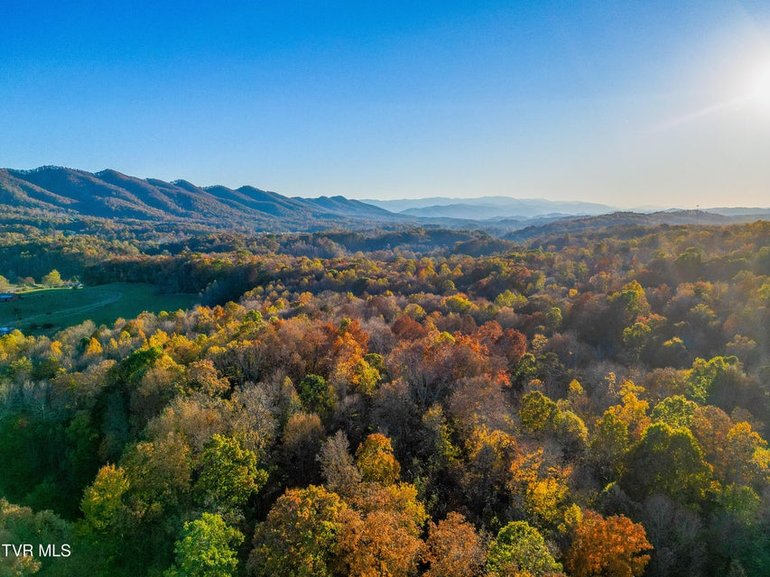 Photo #39: Tbd Cherokee Road