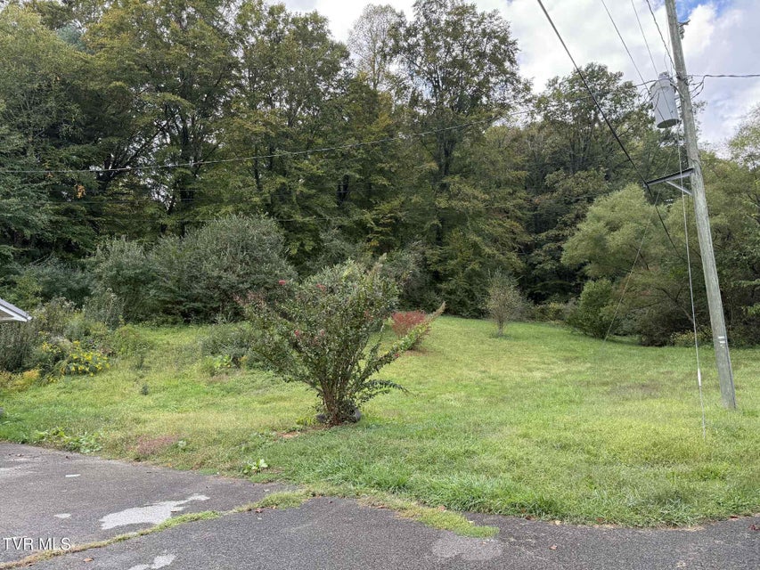 Photo #33: 8366 Fishman Road