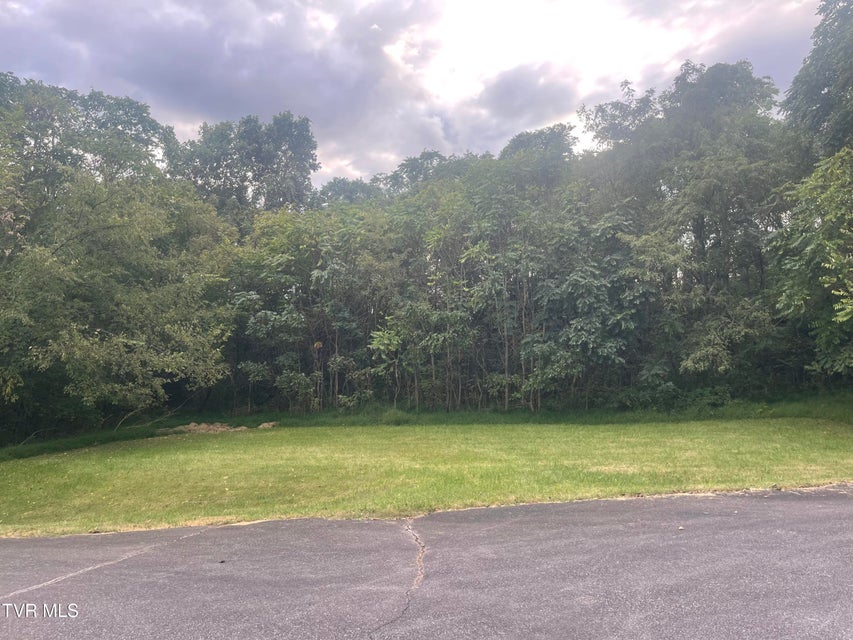 Photo #6: 175 Summit Drive