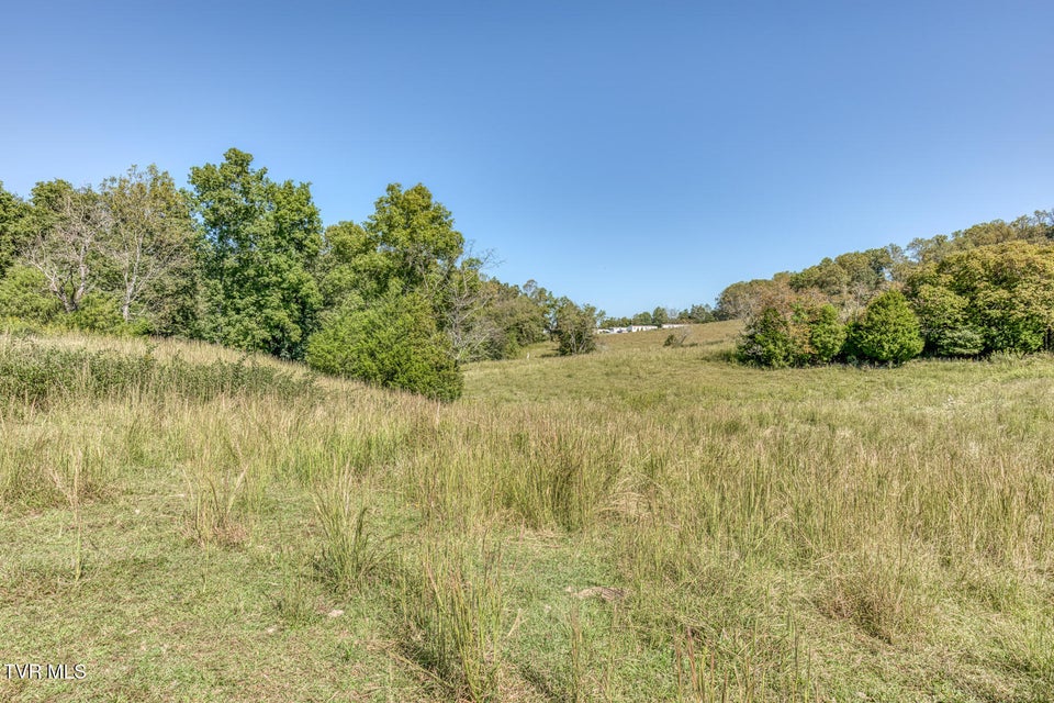 Photo #3: Tbd Yoakley Road