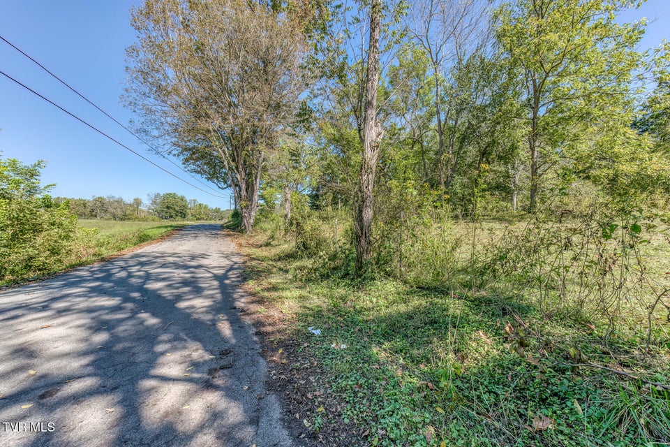 Photo #11: Tbd Yoakley Road