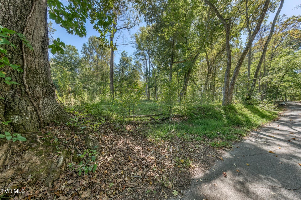 Photo #12: Tbd Yoakley Road