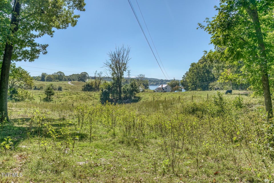 Photo #24: Tbd Yoakley Road