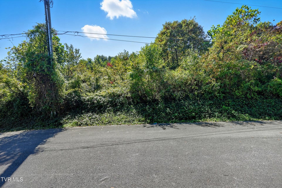 Photo #13: Tbd Lot 4 Sunny Lane