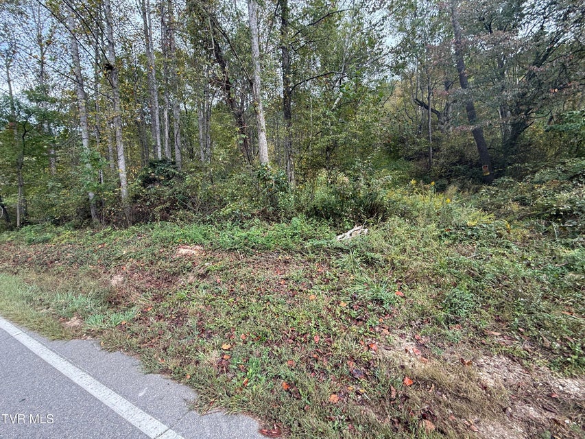 Photo #18: Tbd Roan Creek Road