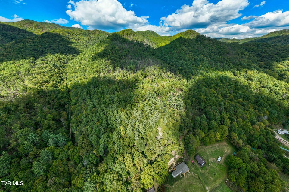 Photo #14: Tbd Roan Creek Road