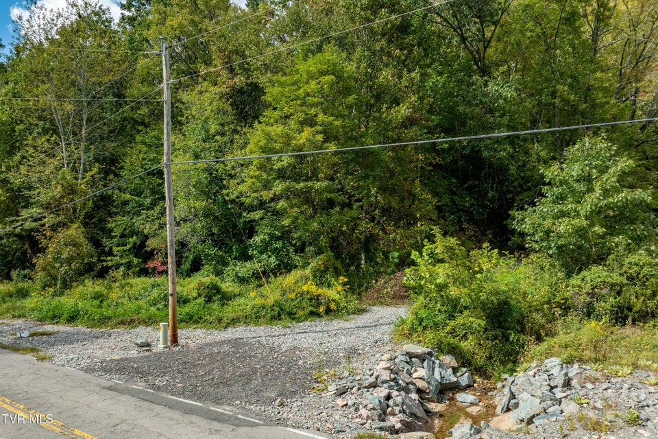 Photo #17: Tbd Roan Creek Road