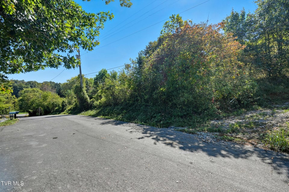 Photo #15: Tbd Lot 5 Sunny Lane