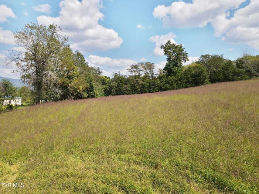 Photo #7: 191 Bedrock Drive