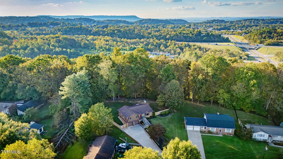 Photo #37: 136 Manchester Place