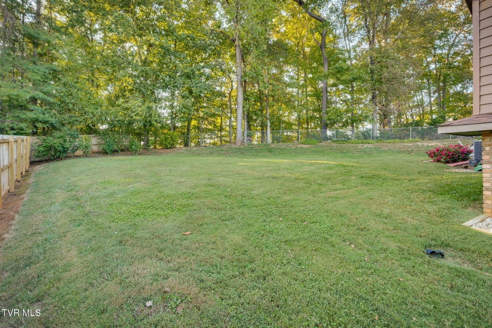 Photo #31: 136 Manchester Place