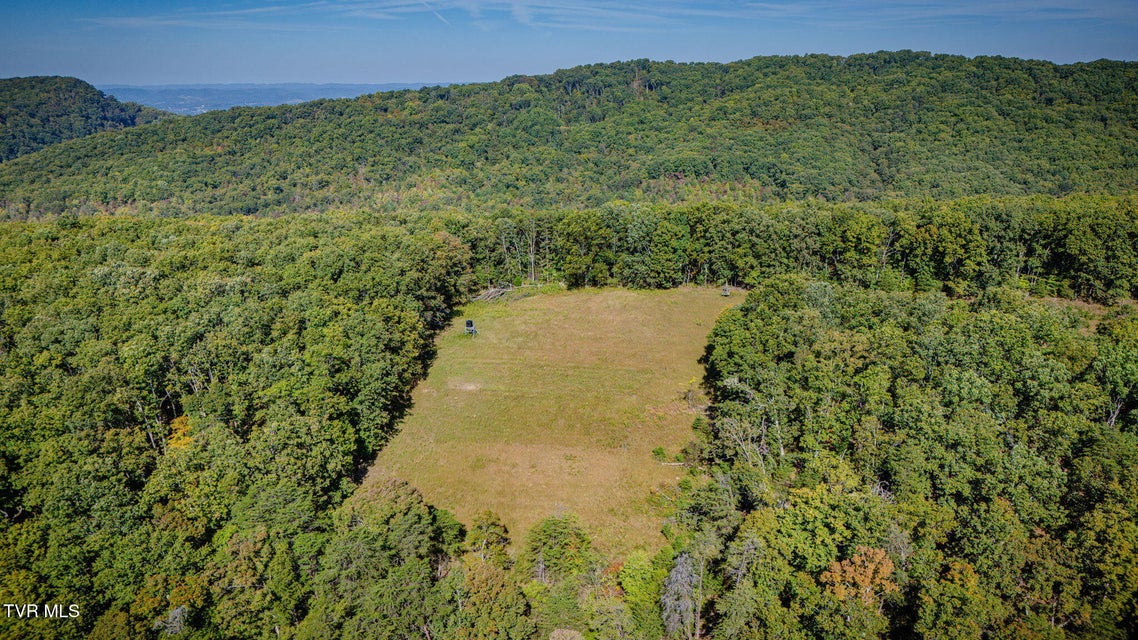 Photo #8: Lot 1 Bays Mountain Road