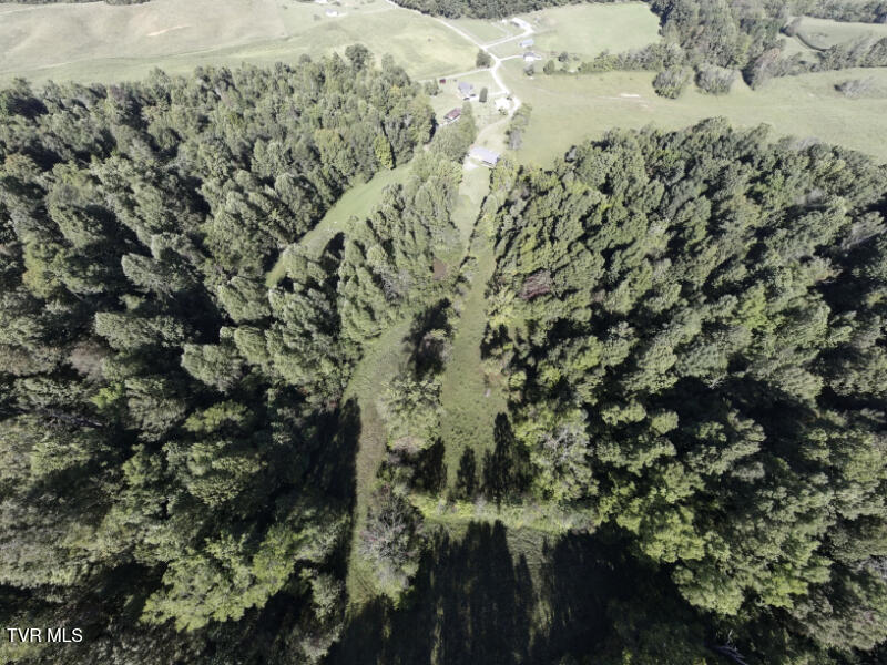 Photo #44: 474 Thornburg Road