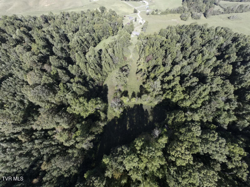 Photo #45: 474 Thornburg Road