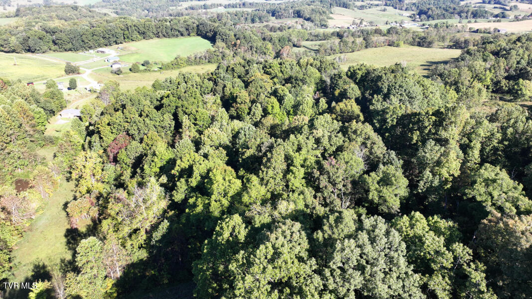 Photo #64: 474 Thornburg Road