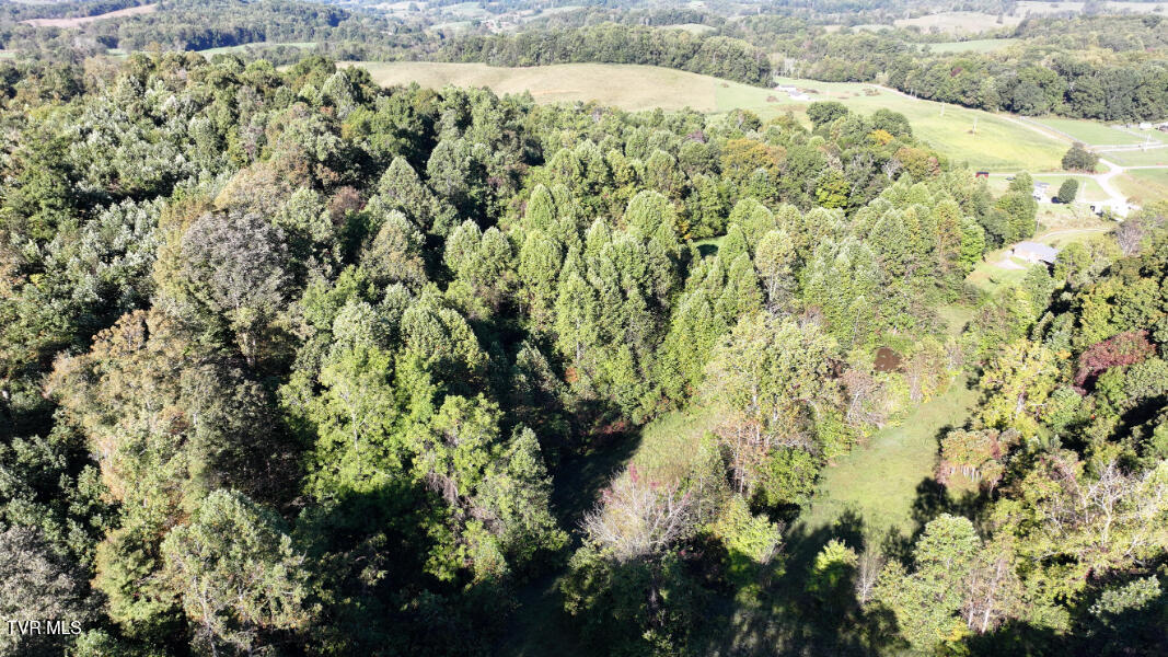 Photo #65: 474 Thornburg Road