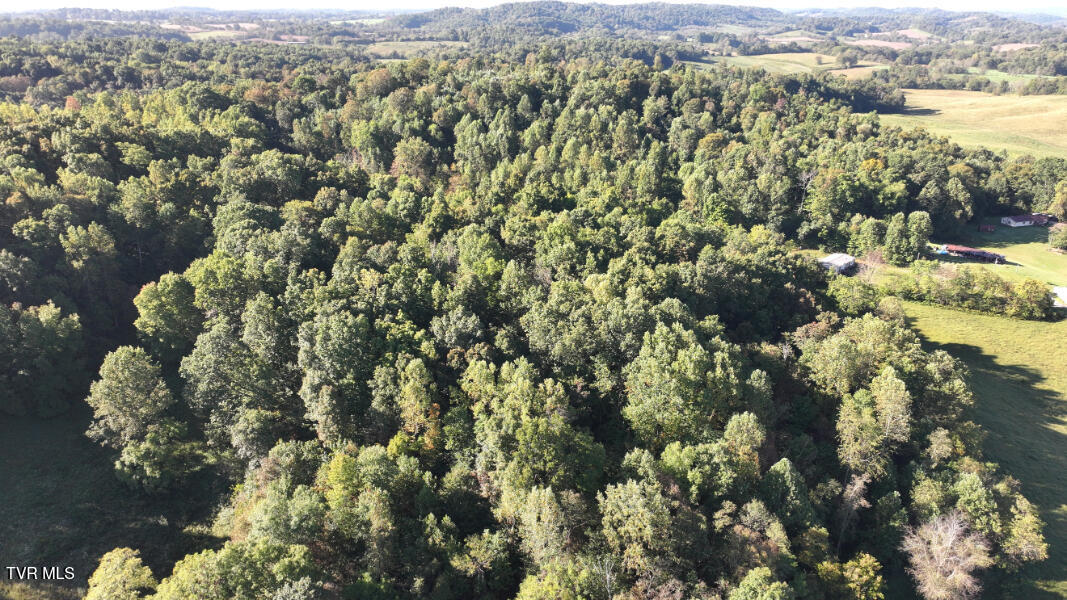 Photo #66: 474 Thornburg Road