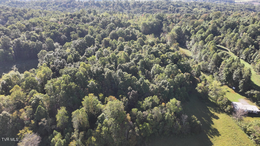 Photo #80: 474 Thornburg Road