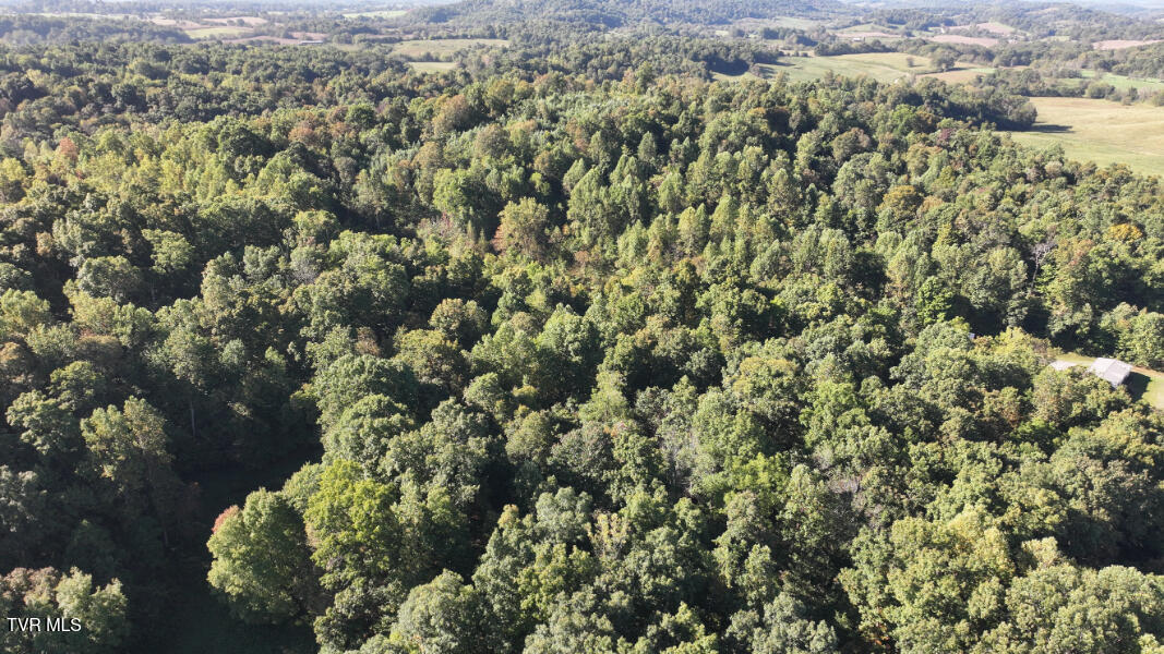 Photo #81: 474 Thornburg Road