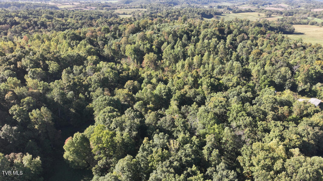 Photo #82: 474 Thornburg Road