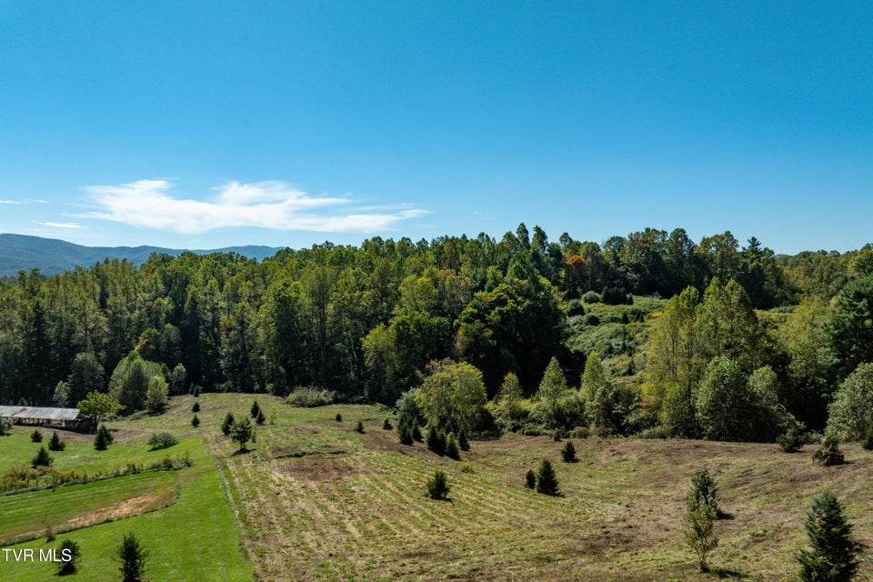 Photo #4: 1311 Deer Run Road