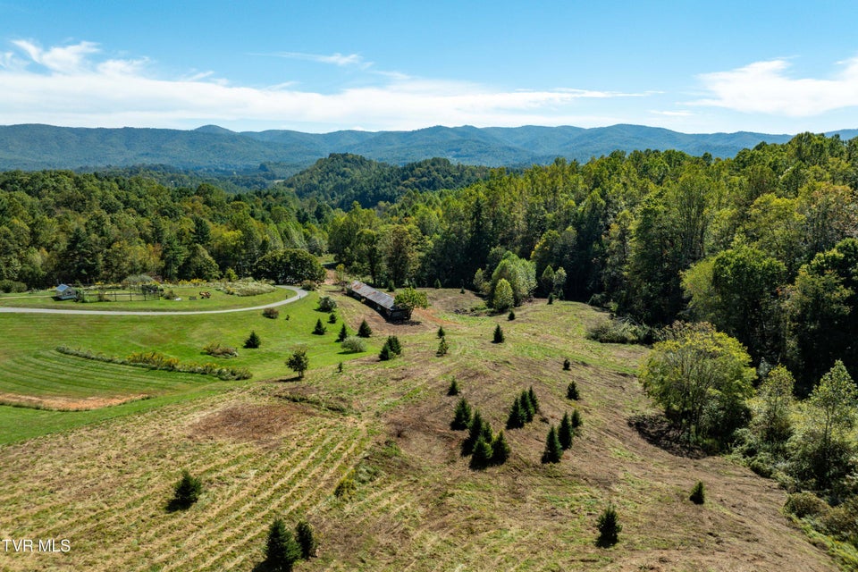 Photo #5: 1311 Deer Run Road