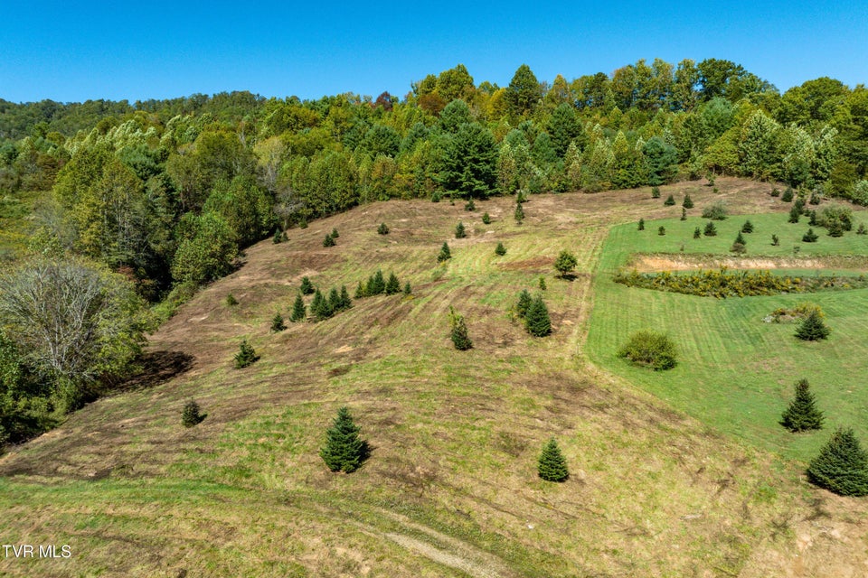 Photo #22: 1311 Deer Run Road