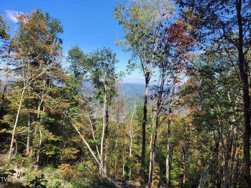 Photo #43: 00 Cloudland Drive 