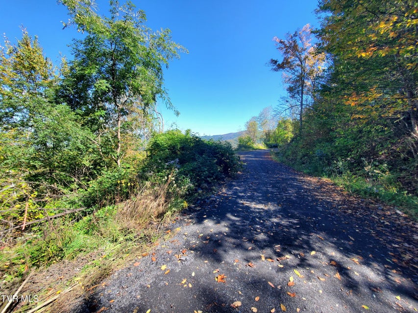 Photo #45: 00 Cloudland Drive 