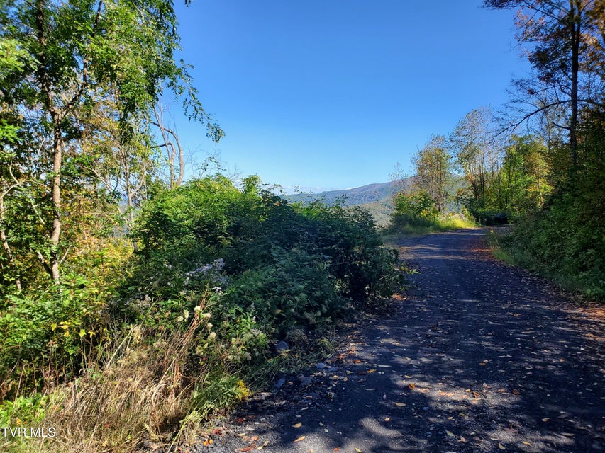 Photo #46: 00 Cloudland Drive 