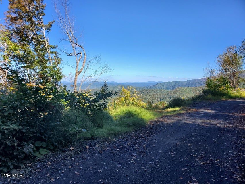 Photo #6: 00 Cloudland Drive 