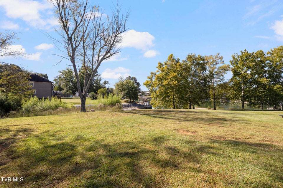 Photo #46: 480 Massengill Park Road