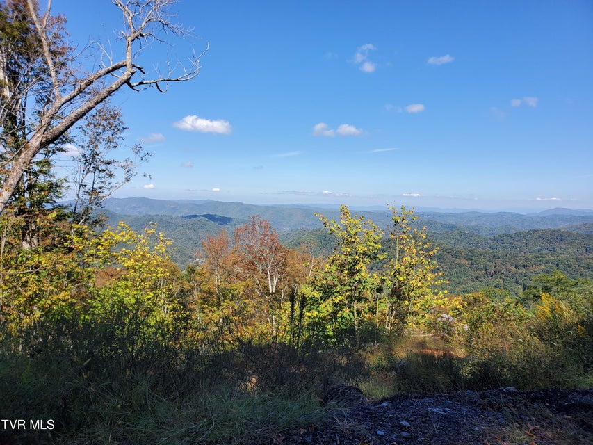 Photo #8: 00 Cloudland Drive 