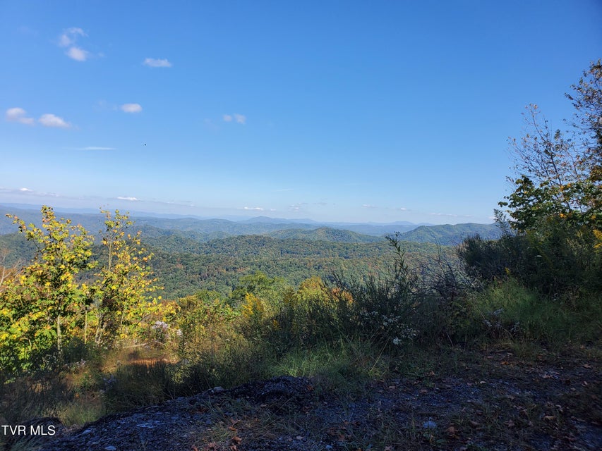 Photo #9: 00 Cloudland Drive 