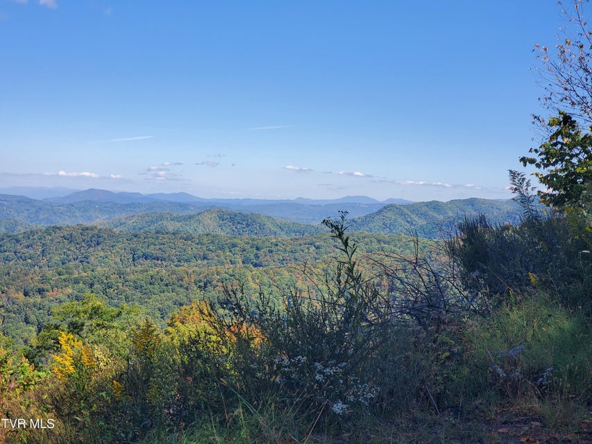 Photo #10: 00 Cloudland Drive 