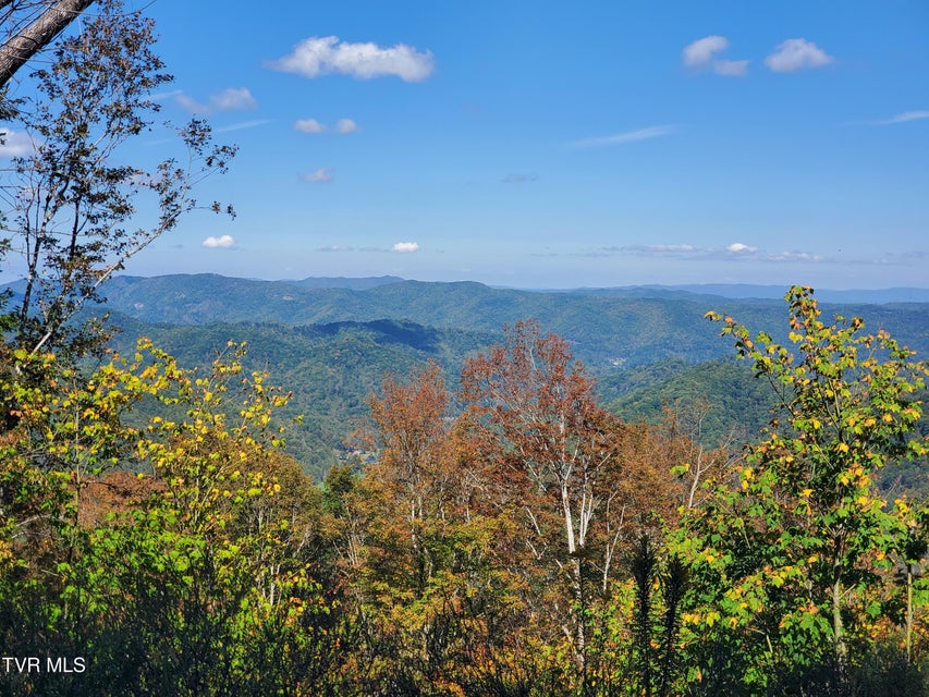 Photo #11: 00 Cloudland Drive 