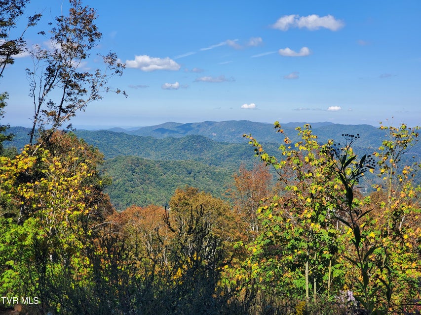 Photo #12: 00 Cloudland Drive 